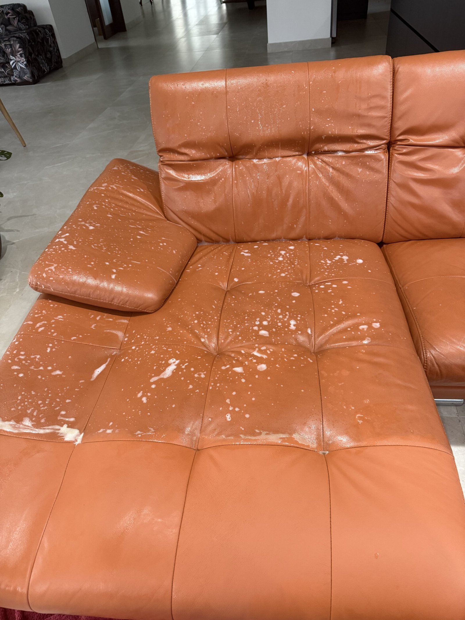 Deep cleaning of leather sofa surfaces before