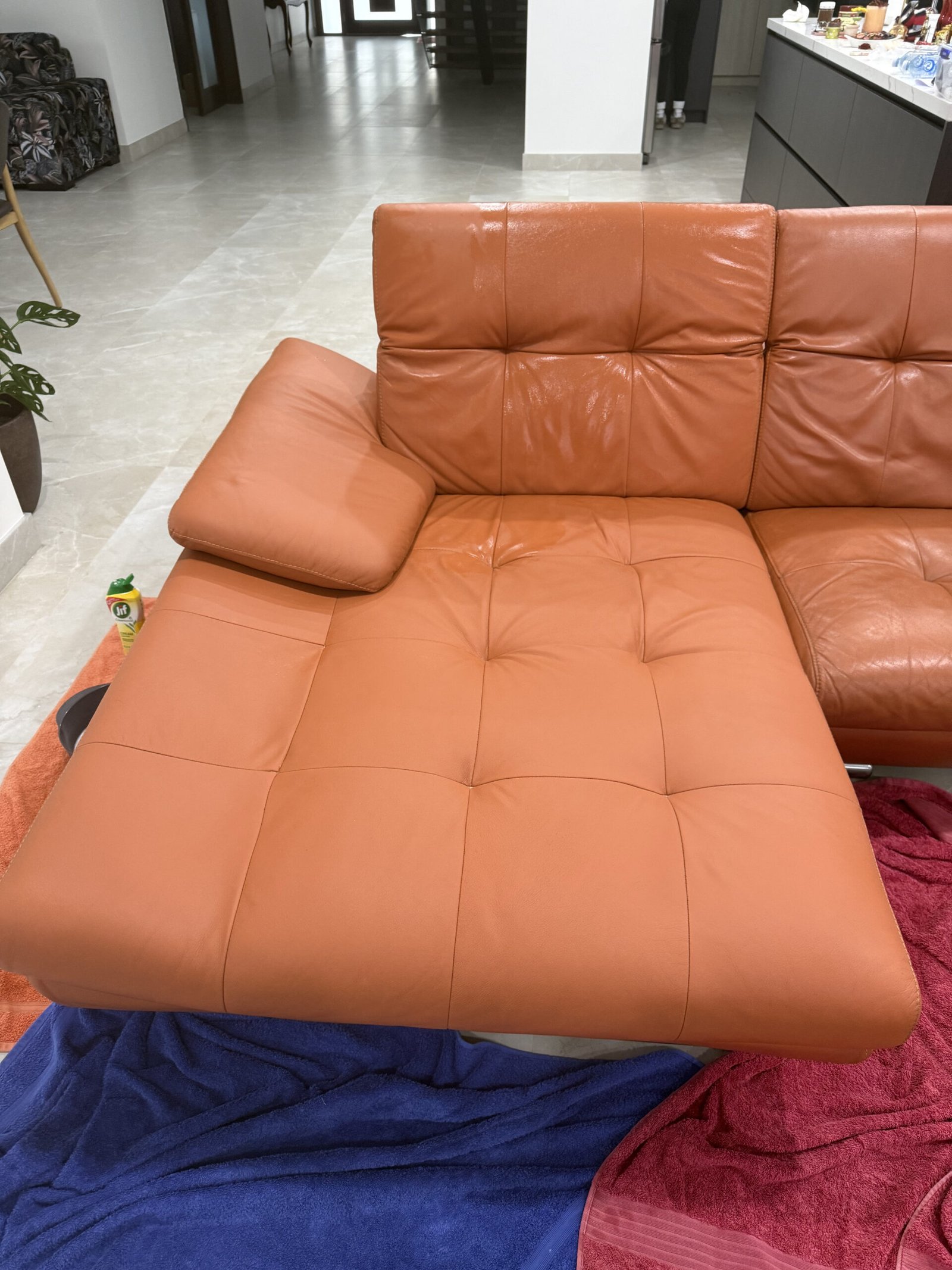 Leather sofa seat cushion after professional cleaning