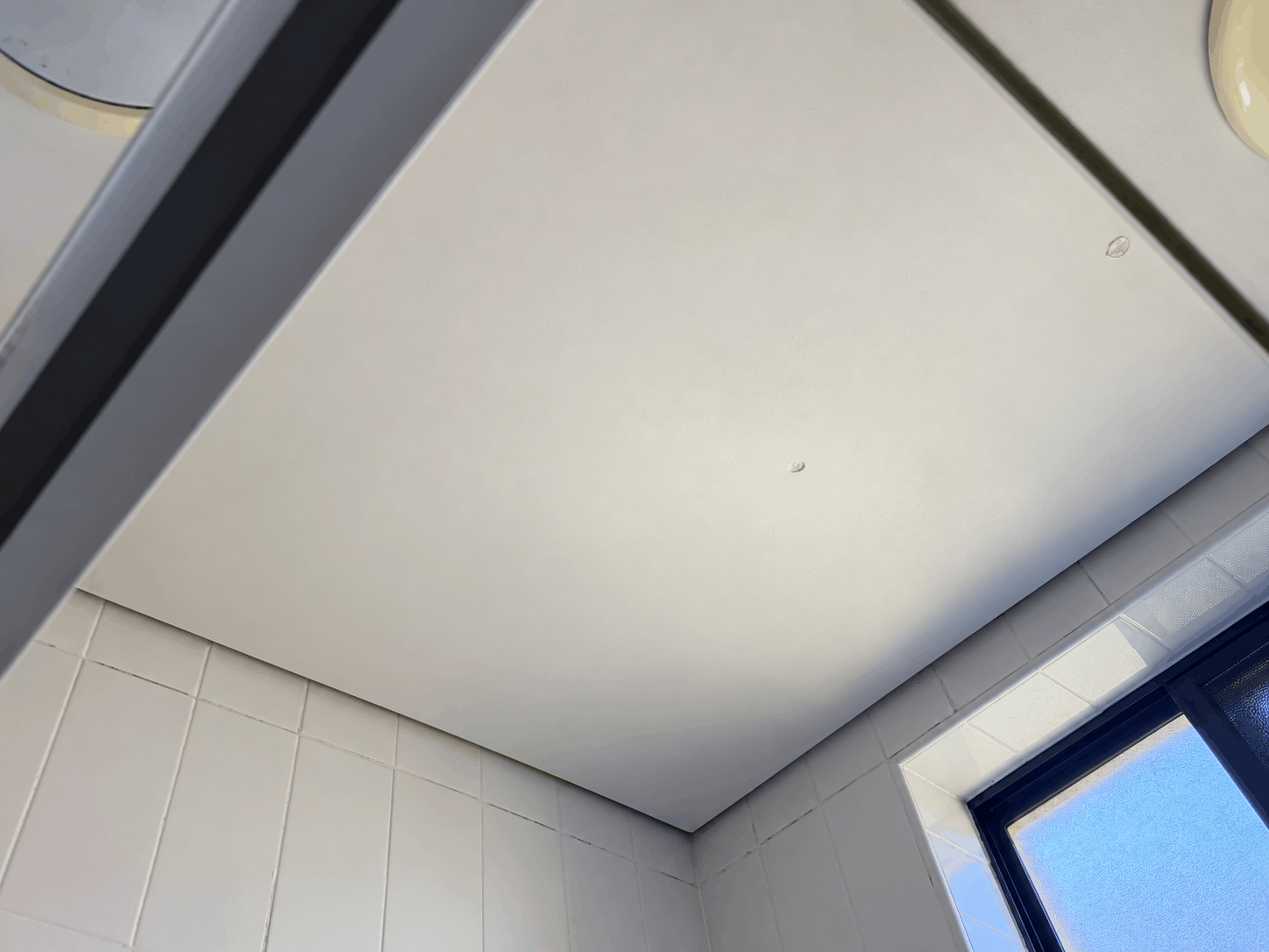 mould removal Sydney