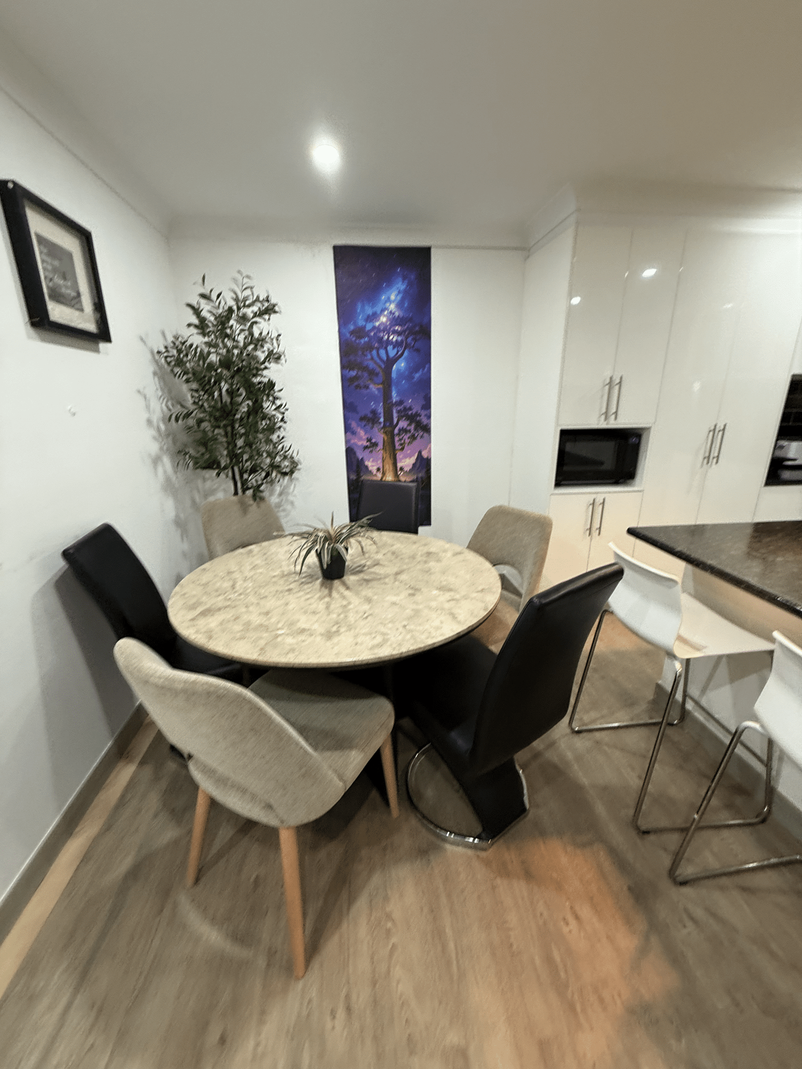 regular house cleaning Bondi
